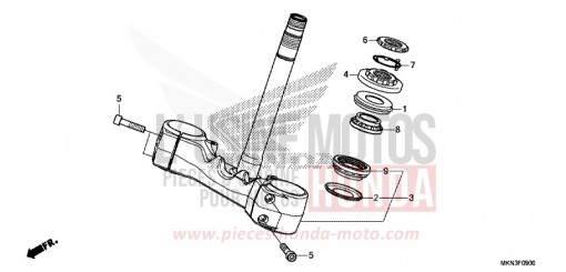 PIANTONE STERZO CB650RAK di 2019